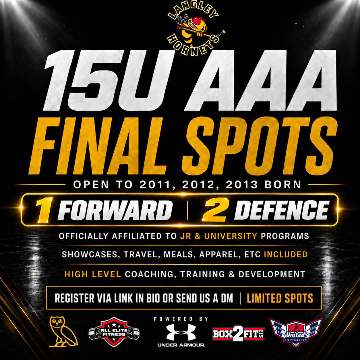 Langley Hornets Tryout Registration