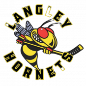 langley hornets logo (1)
